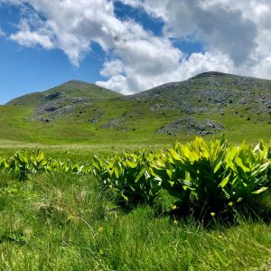 Explore Galicnik and the Galicnik Wedding!