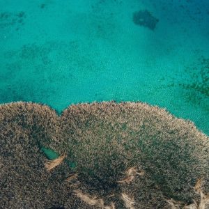 Exploring the Beauty of Ohrid: A Traveler’s Review