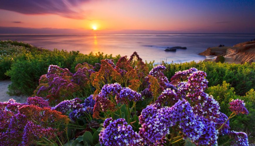 spring in the balkans