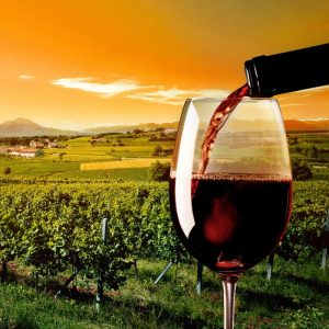 Wineries and Vineyards in North Macedonia