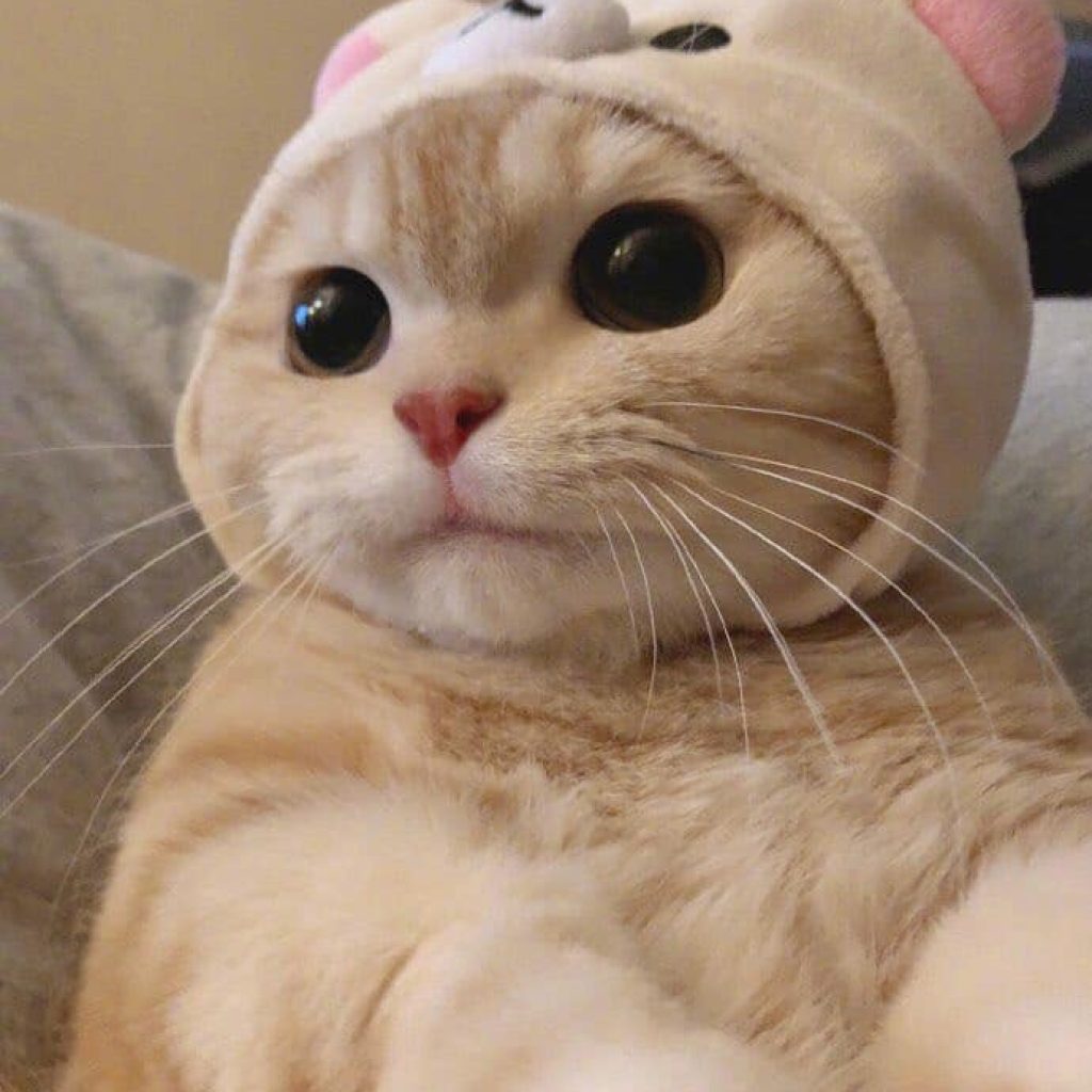 TEST 1